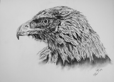 Dessin intitulée "Golden eagle drawing" par Hiten Mistry, Œuvre d'art originale, Graphite