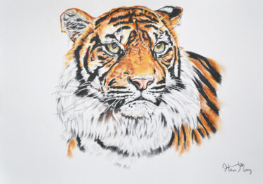 Dessin intitulée "tiger" par Hiten Mistry, Œuvre d'art originale, Autre