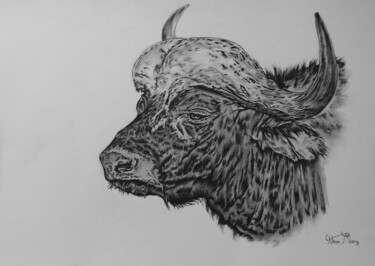 Рисунок под названием "buffalo portrait" - Hiten Mistry, Подлинное произведение искусства, Графит