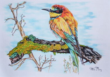 Disegno intitolato "Bee eater bird" da Hiten Mistry, Opera d'arte originale, Matita