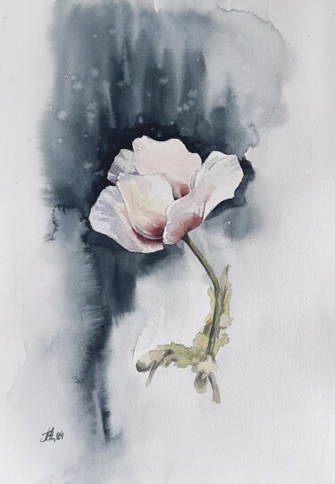 Peinture intitulée "White poppy" par Anna Hnatiuk, Œuvre d'art originale, Aquarelle