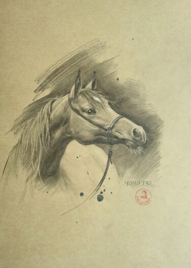Zeichnungen mit dem Titel "Horse #22526" von Hongtao Huang, Original-Kunstwerk, Bleistift