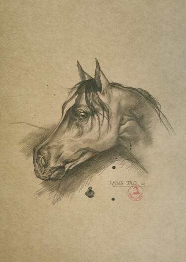 Zeichnungen mit dem Titel "Horse #22527" von Hongtao Huang, Original-Kunstwerk, Bleistift