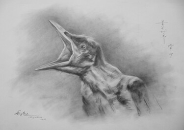 Dibujo titulada "DRAWING ANMAL BIRD…" por Hongtao Huang, Obra de arte original, Carbón