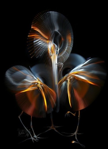 Photographie intitulée "Lightgrapher and li…" par Horyma, Œuvre d'art originale