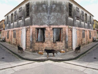 Photography titled "Three Dogs" by Hratch Israelian, Original Artwork