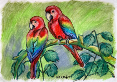 Dibujo titulada "Ara Parrots" por Anastasia Kurganova, Obra de arte original, Pastel