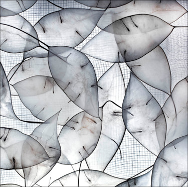 「Leaves」というタイトルの写真撮影 Hrnjak Majaによって, オリジナルのアートワーク, デジタル