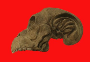 Escultura titulada "Cráneo I" por Hernando Sánchez, Obra de arte original