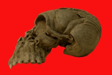 Escultura titulada "Cráneo II" por Hernando Sánchez, Obra de arte original