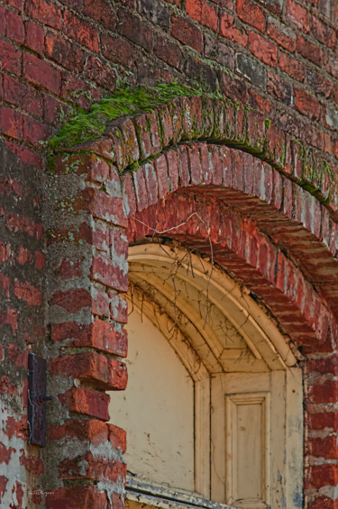 Fotografia intitulada "Mossy Arch" por Travis Burgess, Obras de arte originais, Fotografia Manipulada