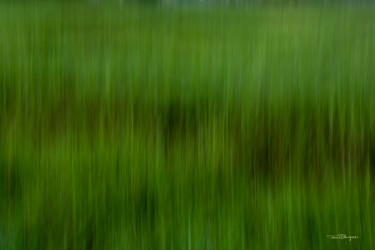 Фотография под названием "Knee Deep Grass" - Travis Burgess, Подлинное произведение искусства, Цифровая фотография