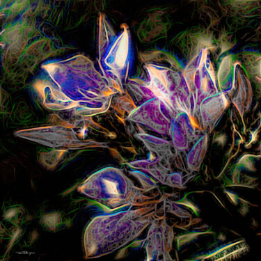 Photography titled "An Oleander on LSD" by Travis Burgess, Original Artwork, Digital Photography