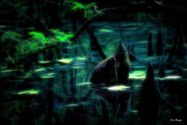 Fotografie getiteld "Faerie Swamp" door Travis Burgess, Origineel Kunstwerk, Gemanipuleerde fotografie