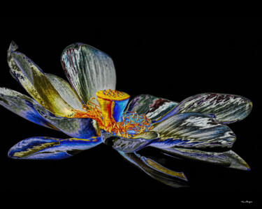 Photographie intitulée "Psychedelic Lotus" par Travis Burgess, Œuvre d'art originale, Photographie manipulée