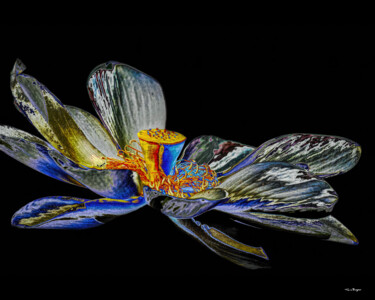 Fotografia intitolato "Psychedelic Lotus" da Travis Burgess, Opera d'arte originale, Fotografia manipolata