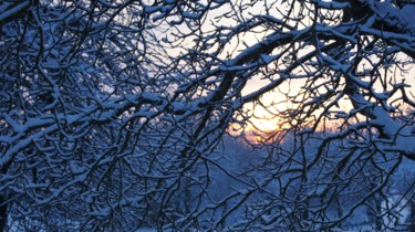 Photographie intitulée "Le verger en hiver" par Hubert Sibella, Œuvre d'art originale