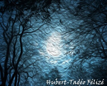 Digitale Kunst mit dem Titel "lune-froide" von Hubert-Tadéo Félizé, Original-Kunstwerk, Digitale Malerei