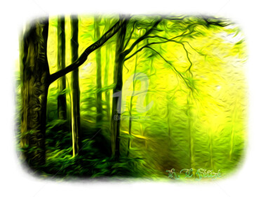 Arts numériques intitulée "belle-forest-green-…" par Hubert-Tadéo Félizé, Œuvre d'art originale, Peinture numérique