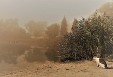 Fotografía titulada "cat by the puddle" por Hubertine Langemeijer, Obra de arte original, Fotografía digital