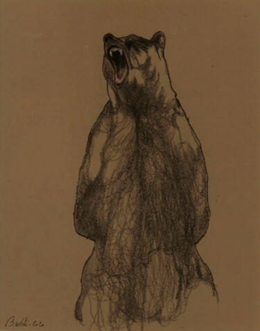 Tekening getiteld "Grizzly" door Hugo Bartoli, Origineel Kunstwerk, Houtskool