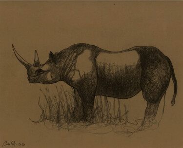 Rysunek zatytułowany „Rhinocéros” autorstwa Hugo Bartoli, Oryginalna praca, Węgiel drzewny