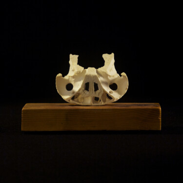 Sculpture titled "Equilibre N°7" by Hugo Brissaud, Original Artwork, Bone