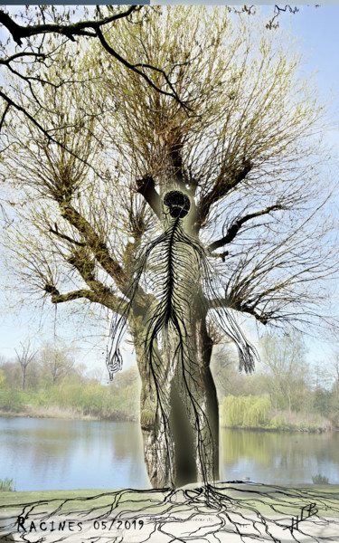 Digitale Kunst mit dem Titel "racines" von Hugues Elbe, Original-Kunstwerk, Fotomontage
