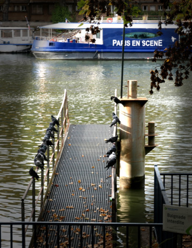 Fotografia intitolato "Scène su Seine" da Hugues Elbe, Opera d'arte originale, Fotografia non manipolata