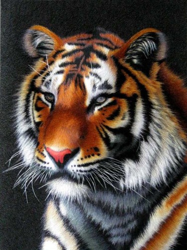 Artisanat intitulée "tiger.jpg" par Huifen Yao, Œuvre d'art originale