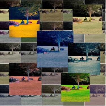 Digitale Kunst mit dem Titel "Old man in grass" von Humans Sato, Original-Kunstwerk, 2D digitale Arbeit