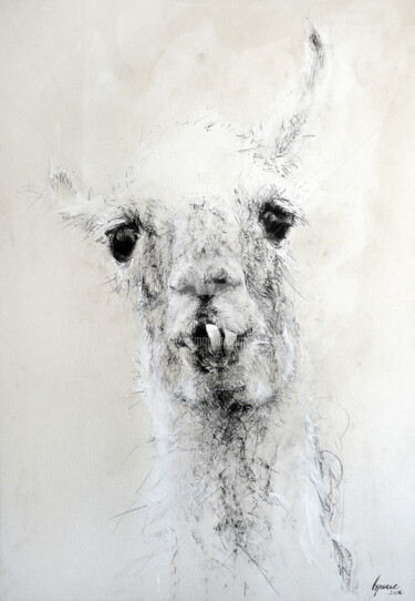 Dessin intitulée "Lama glama" par Hyane, Œuvre d'art originale, Conté