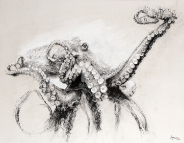 Dessin intitulée "Octopus vulgaris" par Hyane, Œuvre d'art originale, Craie