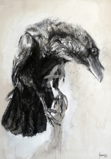 Рисунок под названием "Corvus corax" - Hyane, Подлинное произведение искусства, Мел