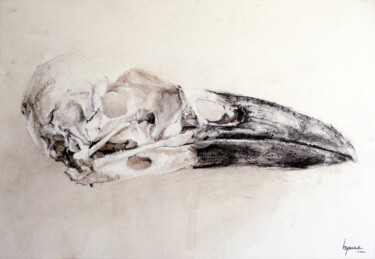 Dessin intitulée "Crâne" par Hyane, Œuvre d'art originale, Craie