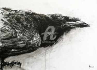 Zeichnungen mit dem Titel "Corvus corax n°2" von Hyane, Original-Kunstwerk, Kohle