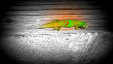Photography titled "GECKO" by I. Clergeaud, Original Artwork, Digital Photography