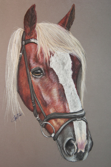 Pintura intitulada "Silver bay horse" por Apelsin, Obras de arte originais, Pastel