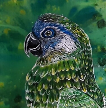 Desenho intitulada "perroquet vert" por Iakim, Obras de arte originais, Acrílico Montado em Armação em madeira