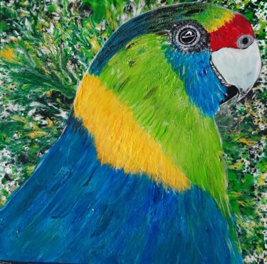 Dessin intitulée "le perroquet coloré" par Iakim, Œuvre d'art originale, Acrylique Monté sur Châssis en bois