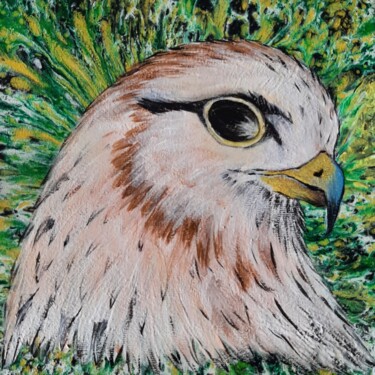 Dessin intitulée "le beau faucon" par Iakim, Œuvre d'art originale, Acrylique Monté sur Châssis en bois