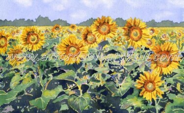 Painting titled "Sunflowers" by Ian Osborne, Original Artwork, Oil