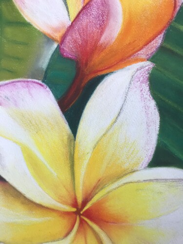 Drawing titled "Tropical Flower" by Iana Volga, Original Artwork, Pastel