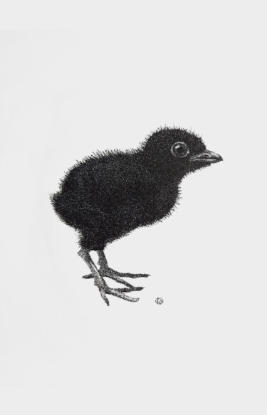 Rysunek zatytułowany „Little Raven” autorstwa Iana Cherepanska, Oryginalna praca, Atrament