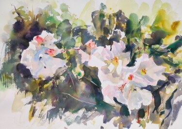 Painting titled "White Wild Rose" by Ibolya Taligas, Original Artwork, Watercolor