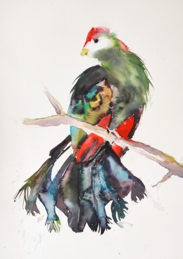 Painting titled "Red-crested turaco" by Ibolya Taligas, Original Artwork, Watercolor