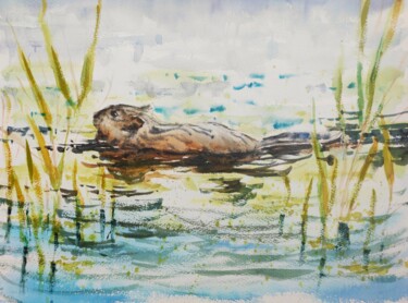 Schilderij getiteld "Swimming Beaver" door Ibolya Taligas, Origineel Kunstwerk, Aquarel