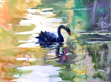 Painting titled "Black Swan" by Ibolya Taligas, Original Artwork, Watercolor