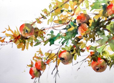 Painting titled "Pomegranate tree br…" by Ibolya Taligas, Original Artwork, Watercolor