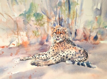 "Resting cheetah" başlıklı Tablo Ibolya Taligas tarafından, Orijinal sanat, Suluboya